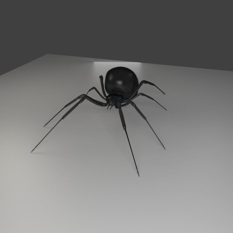 Black Widow Spider Cycles preview image 1